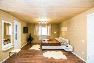 Апартаменты Apartments Kamyanitsa Яремче Апартаменты-студио-18